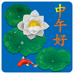 群发给朋友中午好祝福语,中午好动态图中午好表情图
