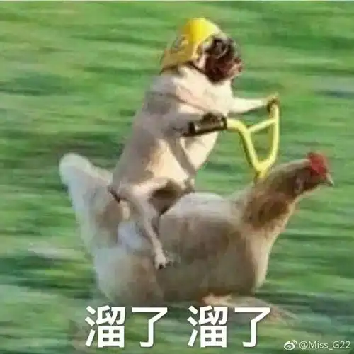 网友用胡歌女朋友昵称点外卖,没想到被送货小哥怼了
