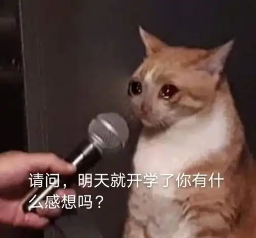 看到网友晒出的二月份账单我哭了...谁不想堂堂正正做个废物呢
