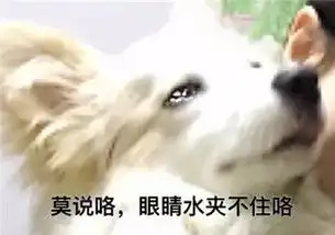 最全沙雕狗子表情包合辑年度最傻狗子都在这儿了
