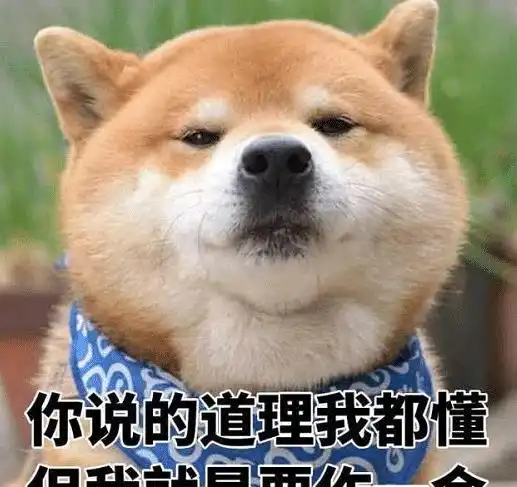 遇到诈骗短信怎么办调戏一下骗子也挺有意思哈哈对方心态炸了
