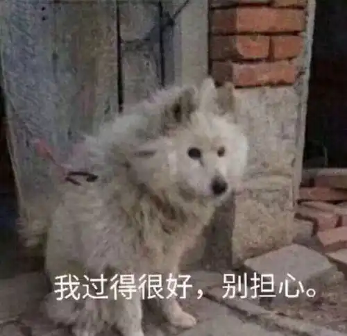 舞女养小鬼求救十六女星成为导演一家的床伴顶流小花被吃抹干净女星和大导演的旧情小生老婆成为赔钱货
