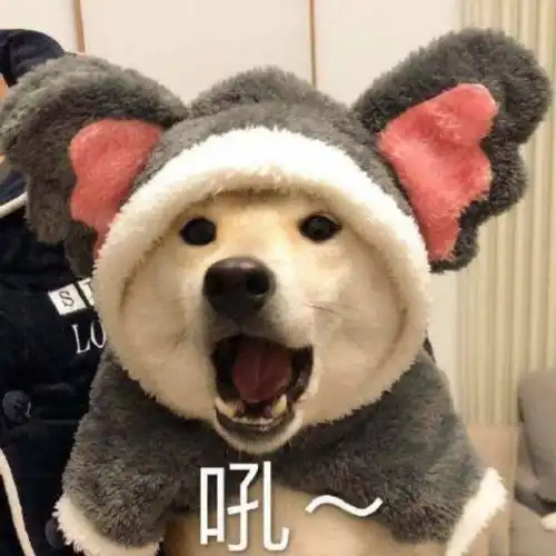 有没有那些很骚很骚的文案
