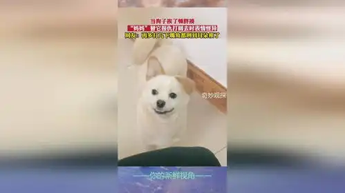 当狗子挨了顿胖揍,妈妈替它报仇打回去时表情怪异
