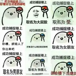 楼上是我老婆表情包
