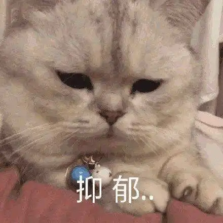 热门表情包图片你说我真的很快乐,ok,我不敢有意见
