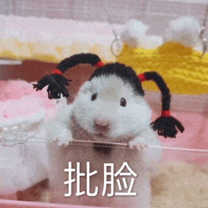 遭到水逆的重击
