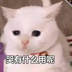 超多好玩斗图表情包
