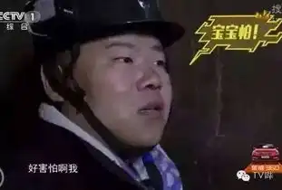 没想到,你是这样的小岳岳
