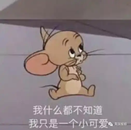 21岁女孩全职当狗月入近百万我喜欢到处打滚爬行
