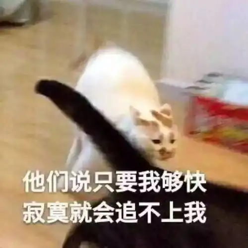 头像篇这个世界本该是好的
