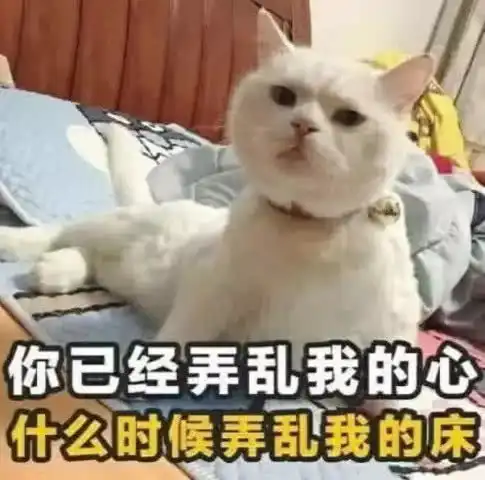 男票跟你动嘴表情包杀回去你还敢凶我,看我不记死你
