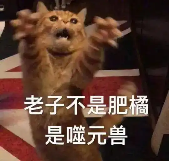 别叫我橘猫,叫我噬元兽大人惊奇队长里的猫真他喵的闪耀
