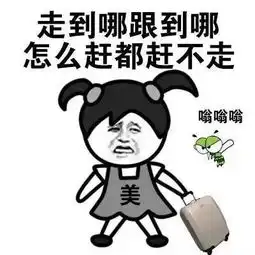 同安一居民凌晨3点蚊帐里拍死13只专家蚊子8天繁殖一代,当心传播这些疾病
