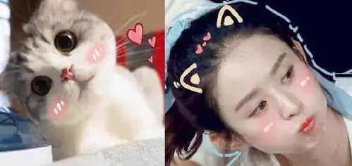 撞脸动物表情的明星,网友王俊凯赵丽颖的样子绝对会萌到你
