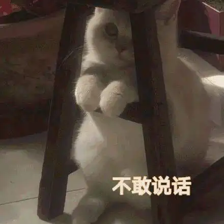 专家建议全面开放三胎网友却炸锅了西安人,你敢生三胎吗

