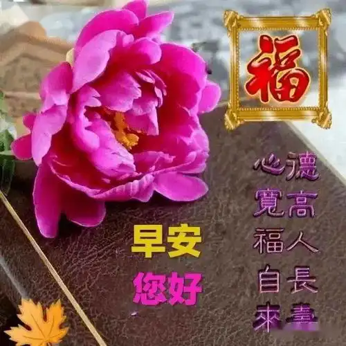 早上好漂亮图片祝福语,清晨问候早安带字表情包图片,早上好快乐祝福语