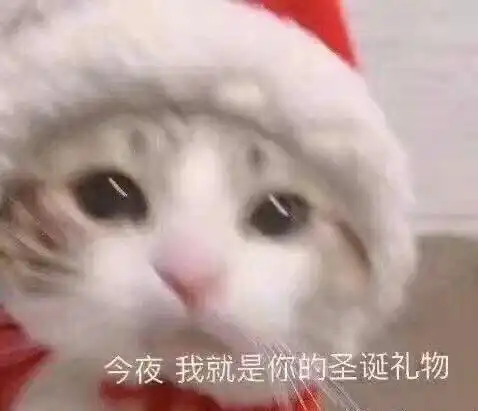 omg平安夜圣诞节表情包来咯小仙女火速收藏真的超可爱der
