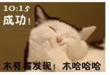 猫咪搞笑屌丝表情演绎上班族的一天
