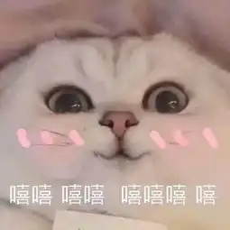 跟人撒娇专用表情包大全,收藏吧终有一天你用得着,哈哈
