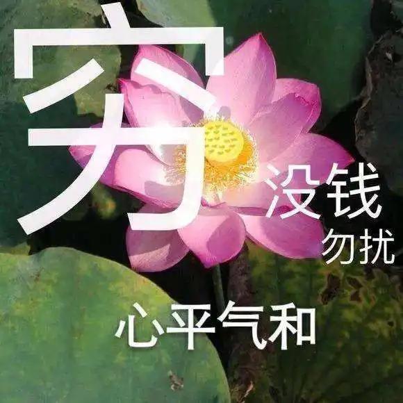 有哪些适合中年人用的头像
