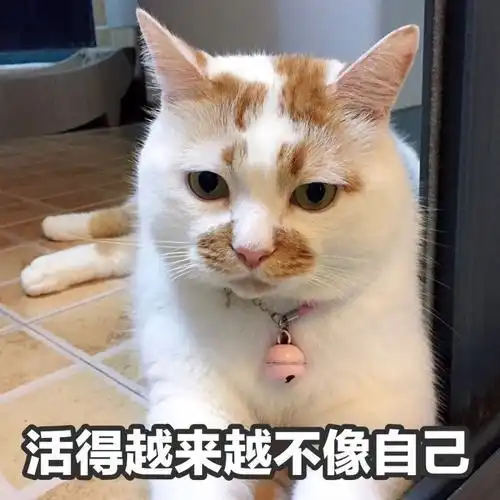 幽默笑话有一同学,因感冒去某校医院看病