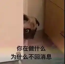表情包,直男怎么哄女生,土味套路情话你想知道么
