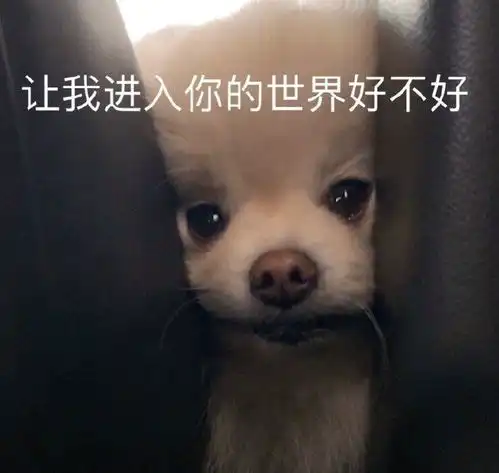 有哪些让沙雕之魂熊熊燃烧的朋友圈文案

