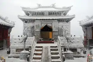 美爆了,大雪兆鸡年
