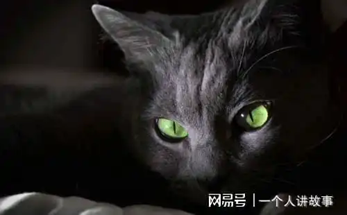 上海凶宅试睡员,住在被灭门的凶宅里的一次经历,改变了我一生
