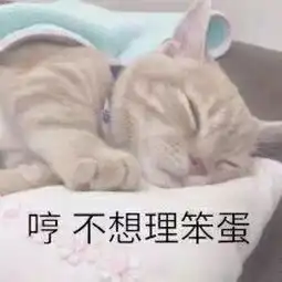 男生最招架不住的100张表情包太撩了
