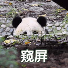 天气降温小雨最低17这是琼岛未来几天的天气情况
