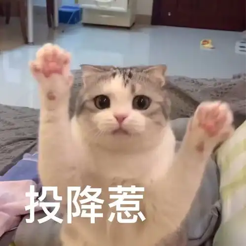 一整天都心神不宁的,越没有消息越焦虑,到底什么...
