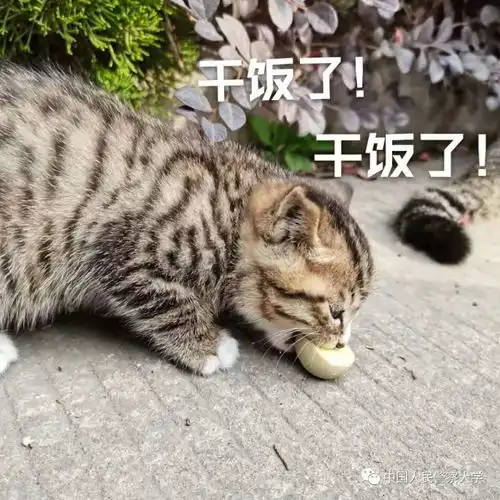家乡团圆饭,警大团圆年
