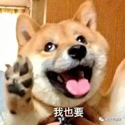 柴犬萌贱表情包合辑,不笑算我输
