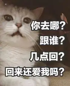 斗图表情包你去哪跟谁几点回回来还爱我吗
