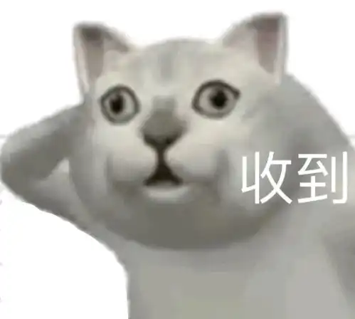 芝士星人不可错过的美食推荐
