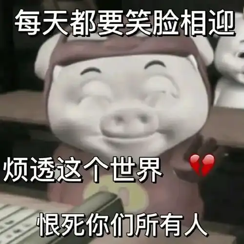 不是死猪是我的男神是什么梗今日头条
