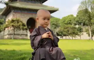 武当山玉虚宫小一休萌坏网友小和尚表情丰富好可爱
