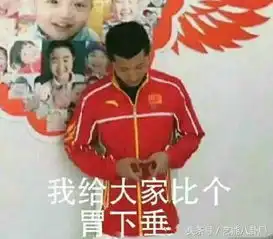哈赵又廷你确认你比的心不是团子
