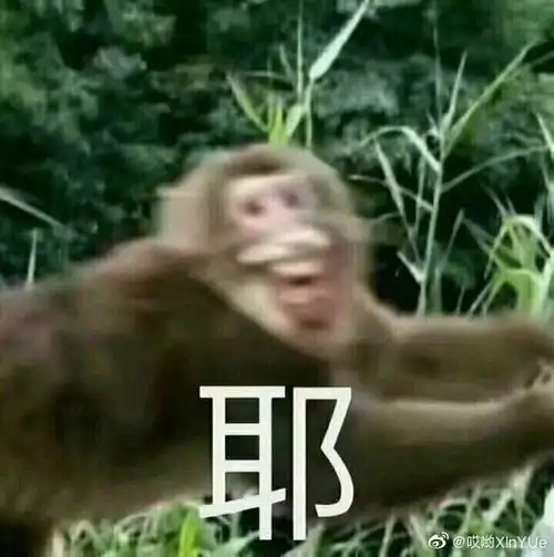 作为小符粉丝

