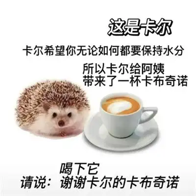 2021最新刺猬卡尔表情包大全谢谢你卡尔超级实用的文字表情合集
