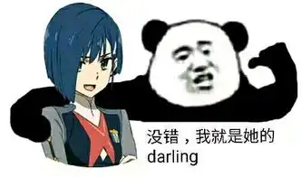 darlinginthefranxx梗科普118集
