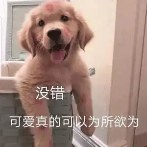 表情包最近好困,为你所困
