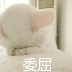 少女,药不能停啊
