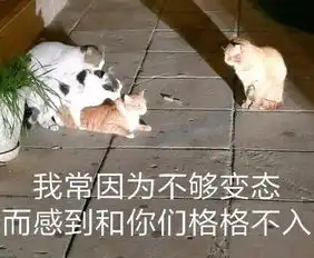 三兄妹一起表演叠猫猫,一大早就被完全治愈了
