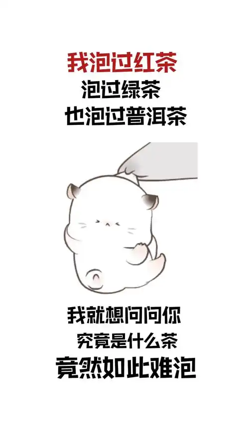 表情包撩妹表情包追女生

