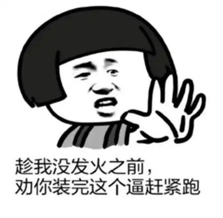 正规群,正规群,跟你说多少遍了没车炸群表情包
