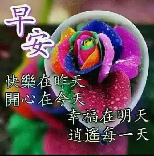 大家早上好图片祝福语早晨好表情包精选
