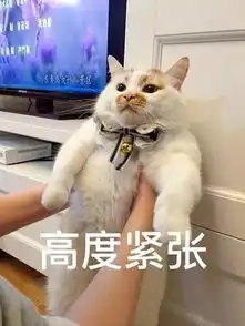 床晃个不停,吓死了刚刚,6.4级震
